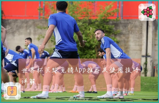 世界杯买球竞猜App推荐及使用技巧详解