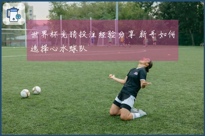 世界杯竞猜投注经验分享 新手如何选择心水球队
