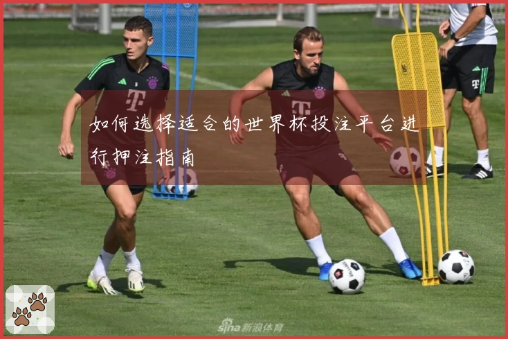 如何选择适合的世界杯投注平台进行押注指南
