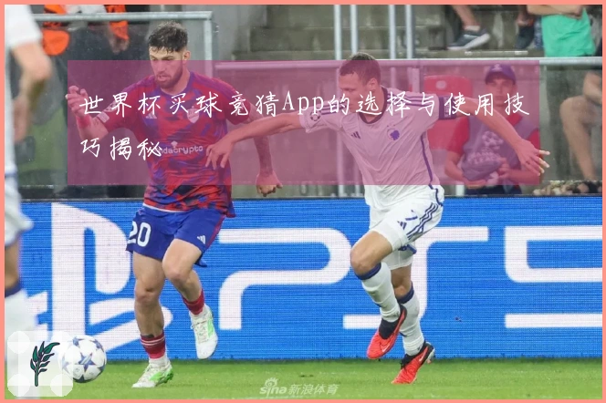 世界杯买球竞猜App的选择与使用技巧揭秘