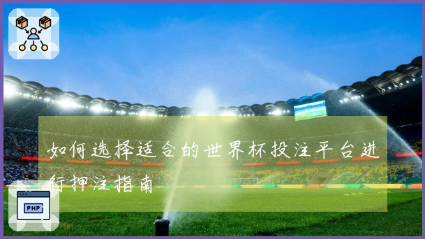 如何选择适合的世界杯投注平台进行押注指南