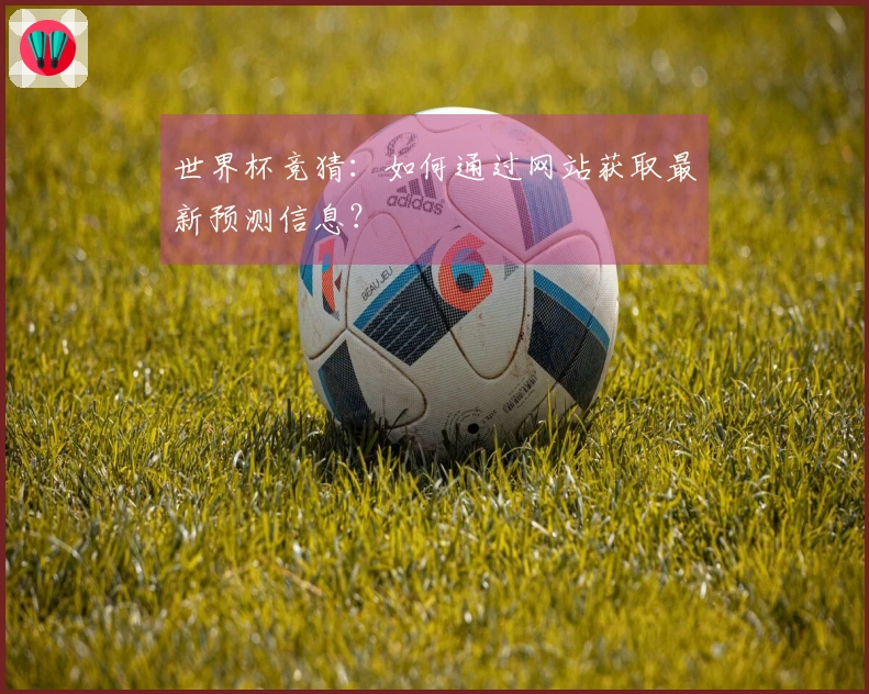 世界杯竞猜：如何通过网站获取最新预测信息？