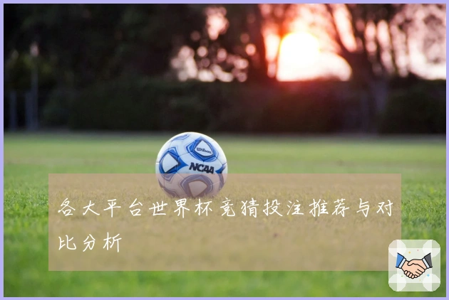 各大平台世界杯竞猜投注推荐与对比分析