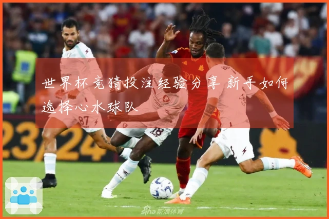 世界杯竞猜投注经验分享 新手如何选择心水球队