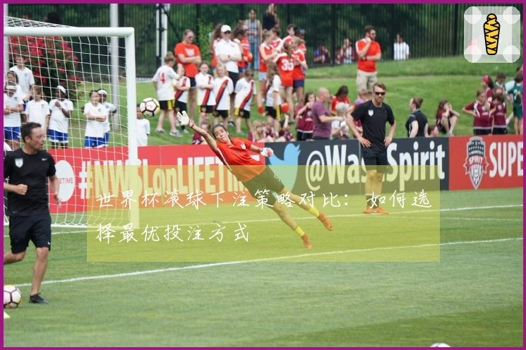 世界杯滚球下注策略对比：如何选择最优投注方式