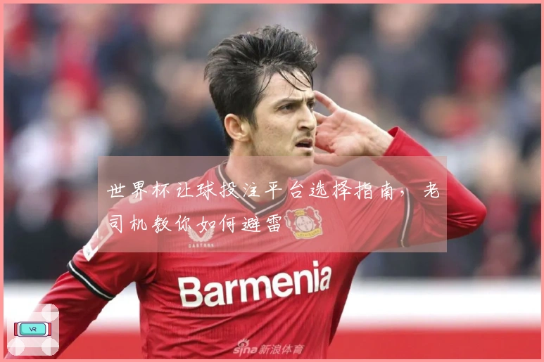 世界杯让球投注平台选择指南，老司机教你如何避雷