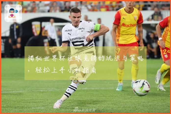 揭秘世界杯让球竞猜的玩法与策略，轻松上手小白指南